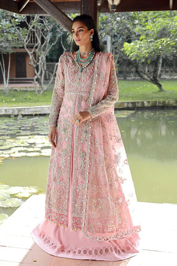 Enaara - Our First Chapter Festive Collection Vol 1 | D 03 - Image 3