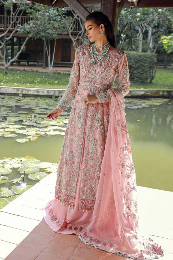 Enaara - Our First Chapter Festive Collection Vol 1 | D 03