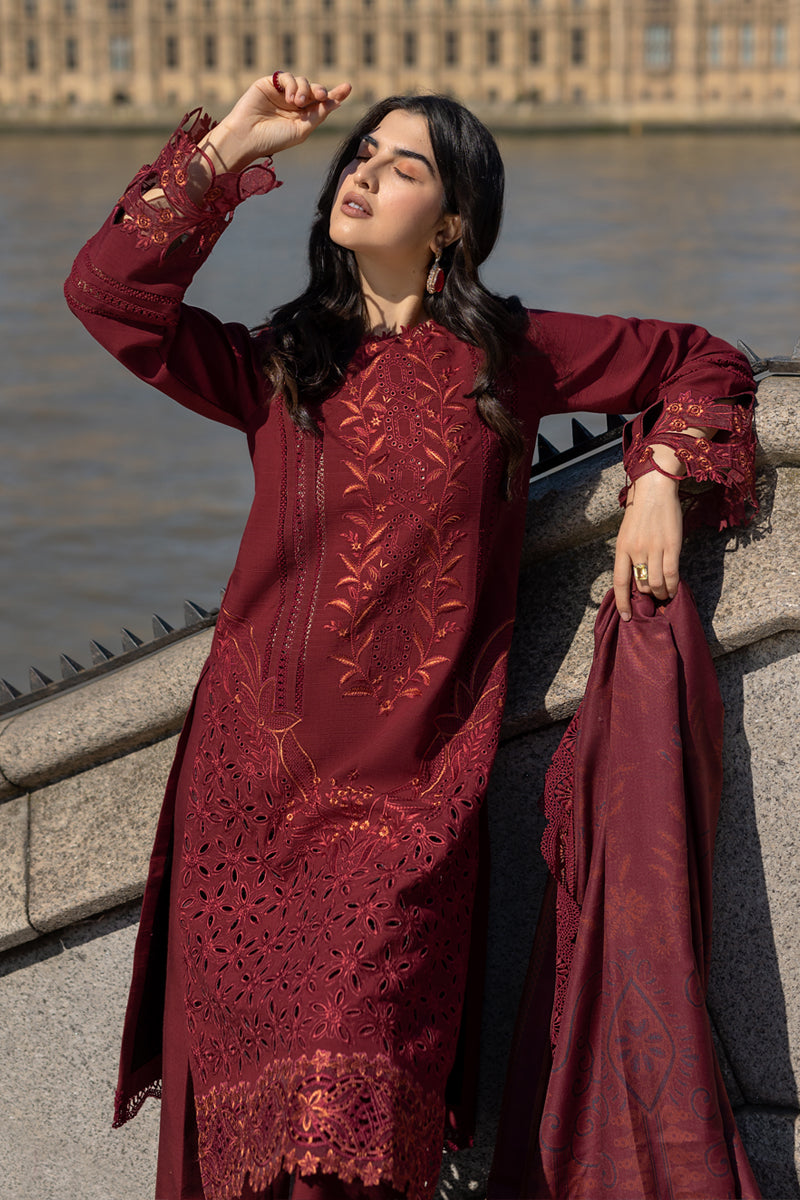 Carnation Winter Shawl Edit ’24 by Rang Rasiya | RR24V08CSD08 - Image 4