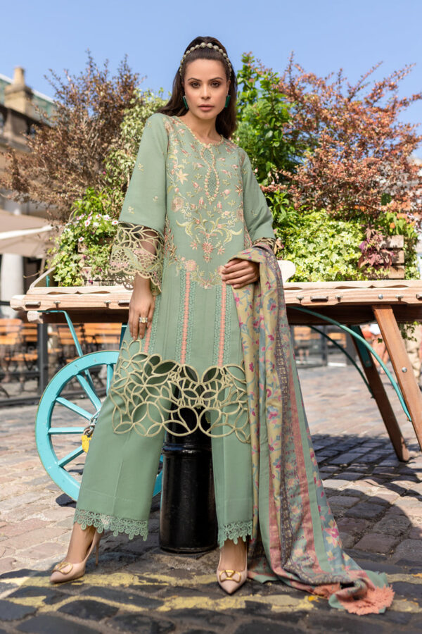 Carnation Winter Shawl Edit ’24 by Rang Rasiya | RR24V08CSD06