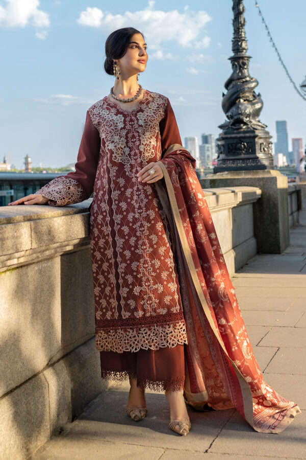 Carnation Winter Shawl Edit ’24 by Rang Rasiya | RR24V08CSD05
