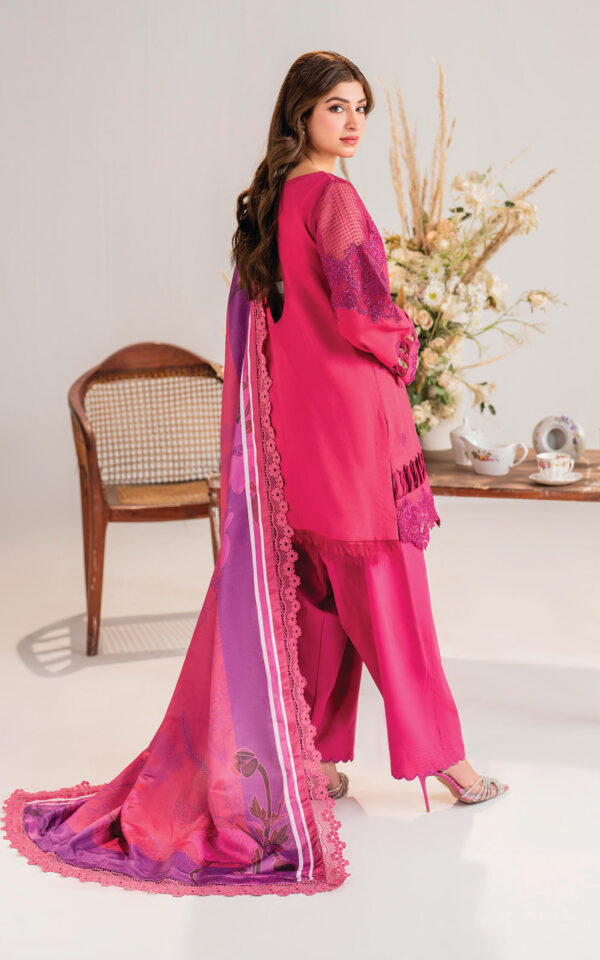 Alternative view of Winter Meraki’24 by Asifa & Nabeel | MW-14
