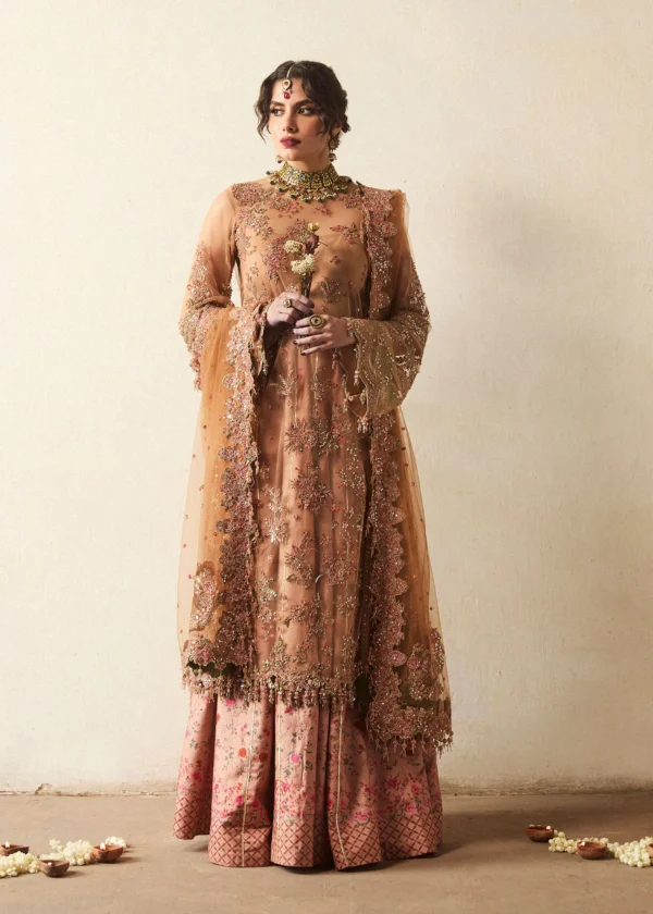 Hussain Rehar Wedding Festive   | Raitla
