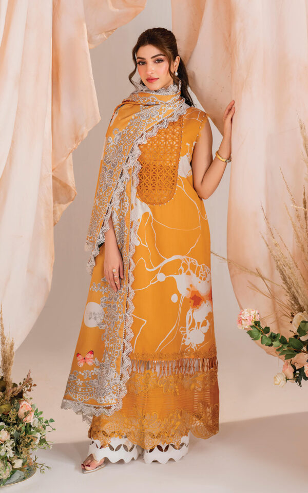 Alternative view of Winter Meraki’24 by Asifa & Nabeel | MW-08