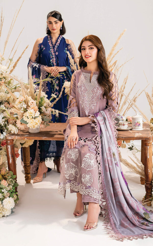 Alternative view of Winter Meraki’24 by Asifa & Nabeel | MW-04