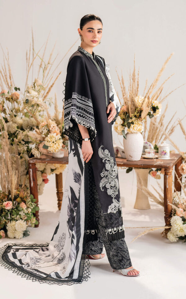 Alternative view of Winter Meraki’24 by Asifa & Nabeel | MW-05