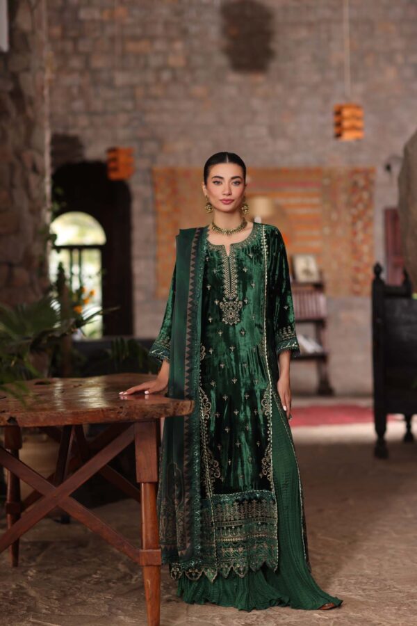 Alternative view of Winter Shawl   Suzaankari by Saadia Aasad | D11