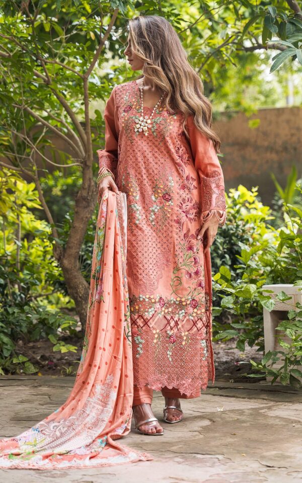 Luxury Winter'24 Vol.2 by Asifa & Nabeel |  WL-05