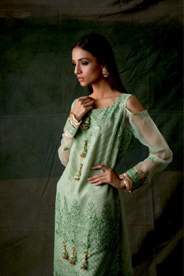 Areeba Saleem Embroidered Lawn Kurti Collection – ASKE-4 (GZ-77)