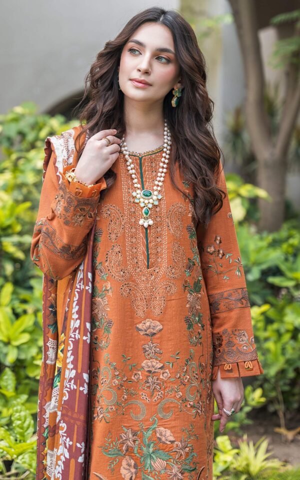 Alternative view of Luxury Winter'24 Vol.2 by Asifa & Nabeel |  WL-11