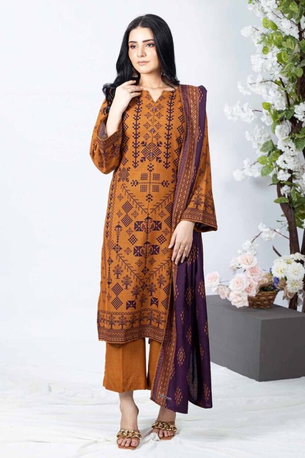 Gulahmed Printed Dhanak with Printed Dhanak WNS-32188 A Winter Collection Vol 3 | GZ-8