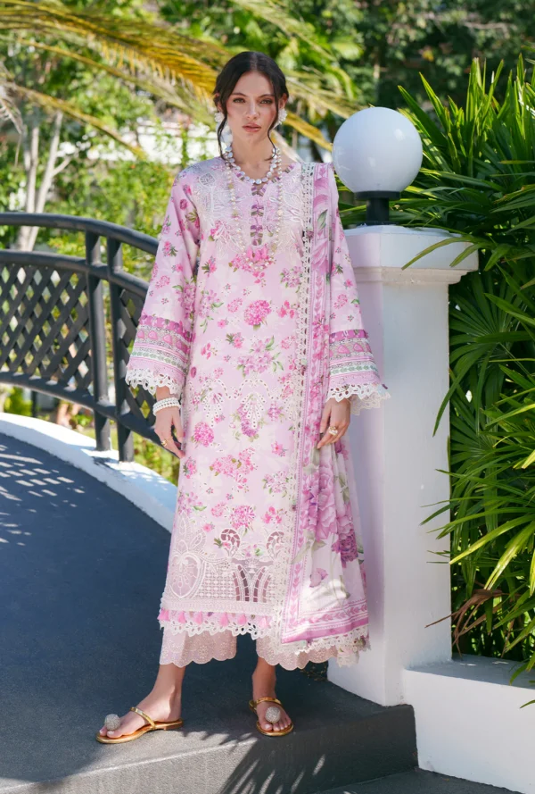 AJR Printed Chikankari 2026 | Rumi