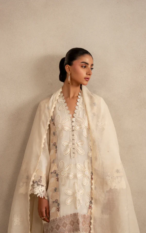 Alternative view of Asifa & Nabeel Meraki Lawn 2026 || Cloud Nine