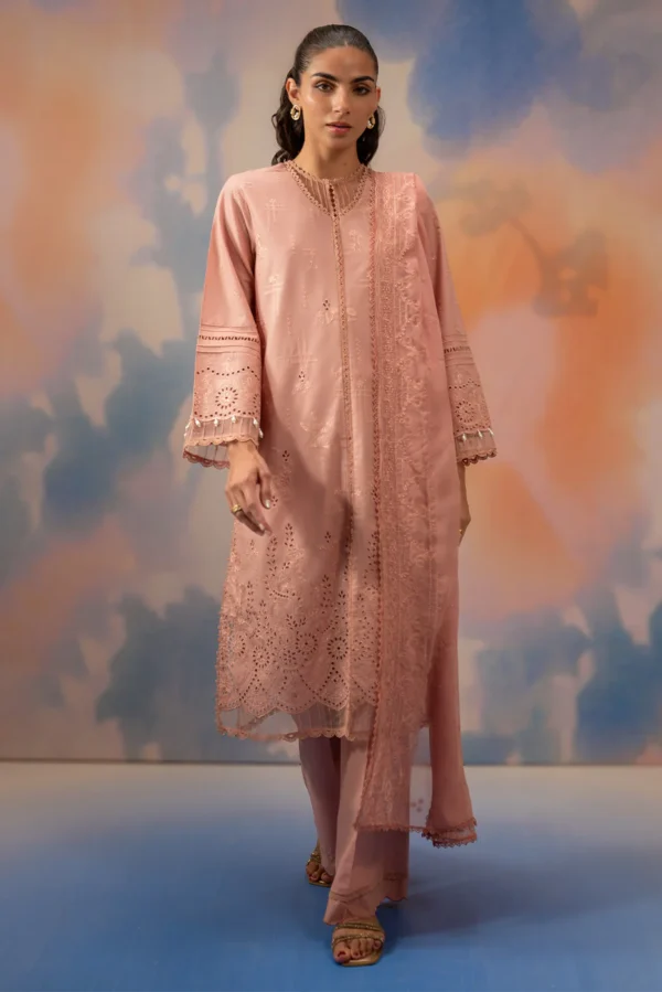 Beechtree Premium Collection 2026 || BLUSH BLOOM