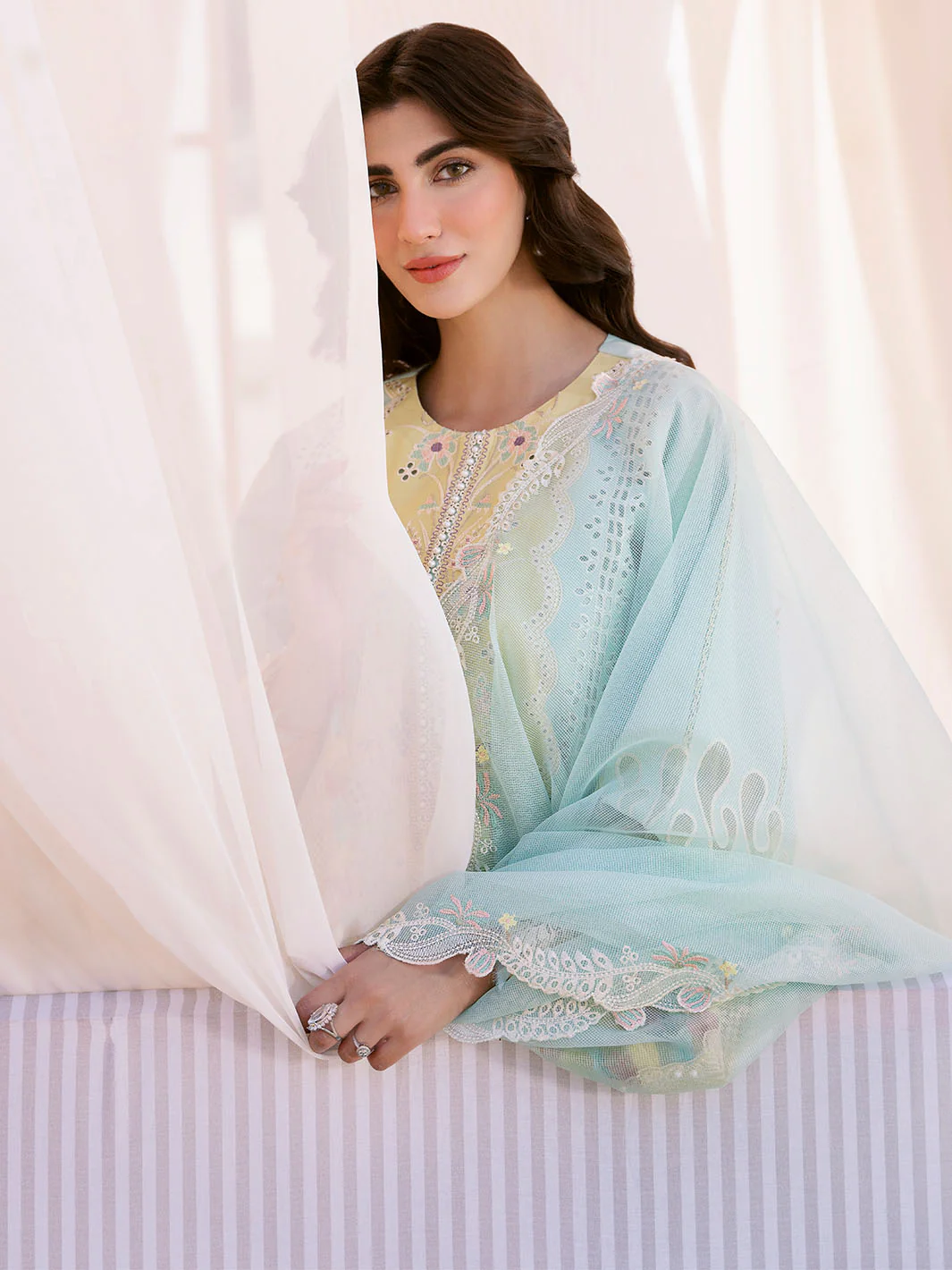 Bin Ilyas Clara Embroidered Lawn 2024 | 216-B - Image 4