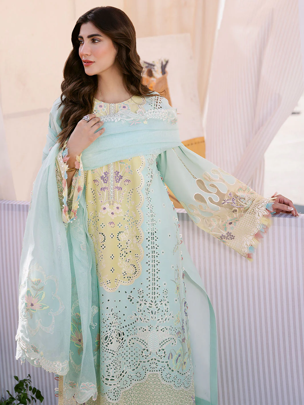 Bin Ilyas Clara Embroidered Lawn 2024 | 216-B - Image 2