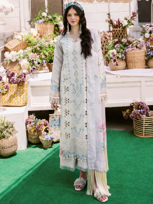 Bin Ilyas Clara Embroidered Lawn 2024 | 213-B