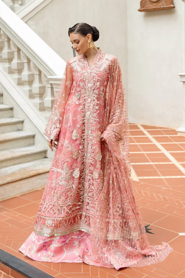 Inception Hemline Wedding'25 by Mushq | Wings of Desire