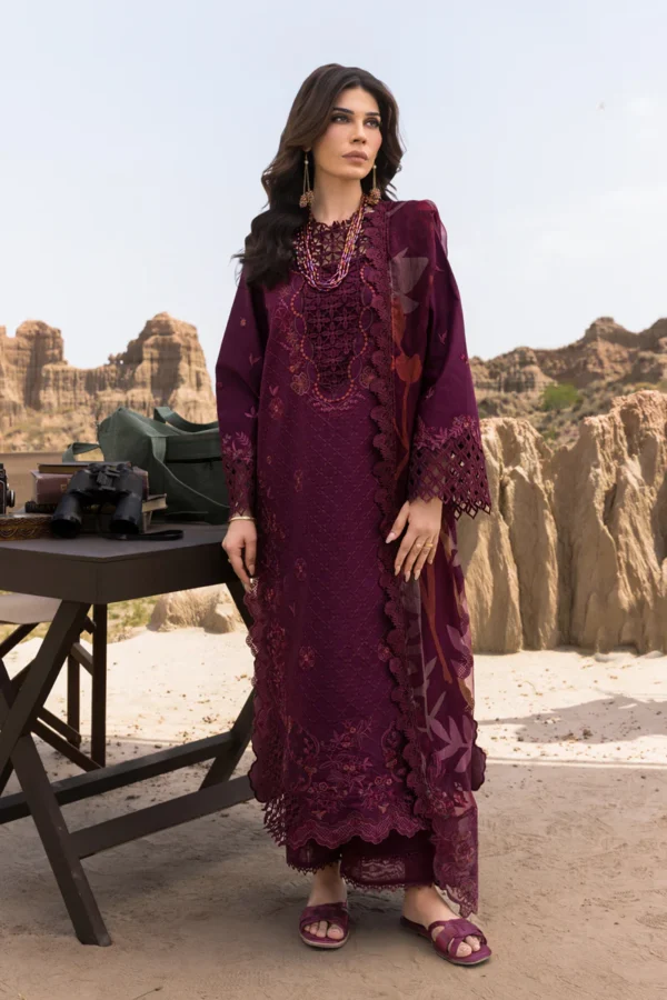 Alternative view of Premium Eid Edit ’25 by Rang Rasiya | D09