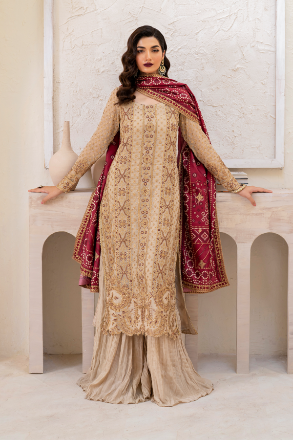 Iznik Chiffon Party Wear Collection   | CC-44