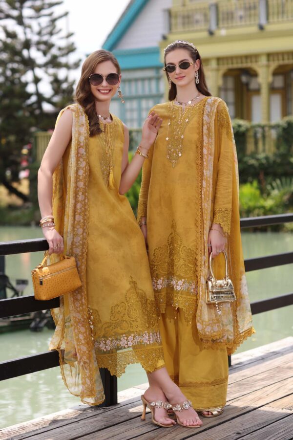 Noor Eid Luxe Chikankari' 25 | D3