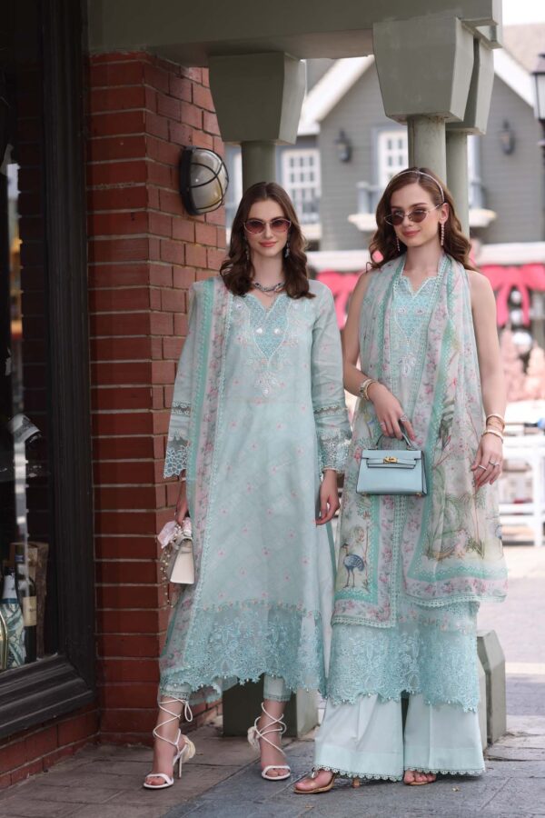 Noor Eid Luxe Chikankari' 25 | D6