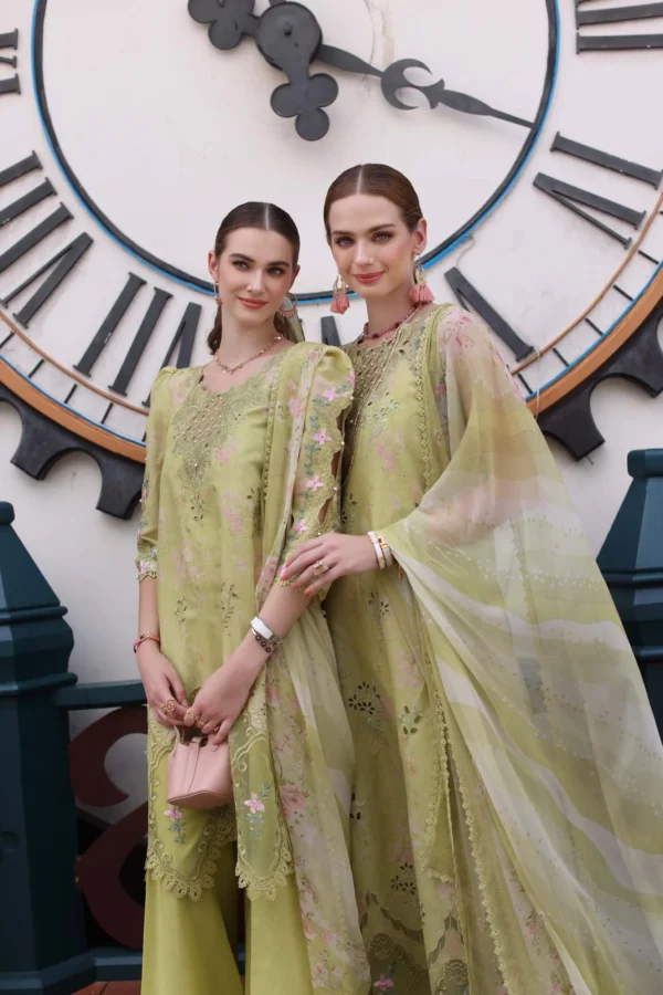Noor Eid Luxe Chikankari' 25 | D8