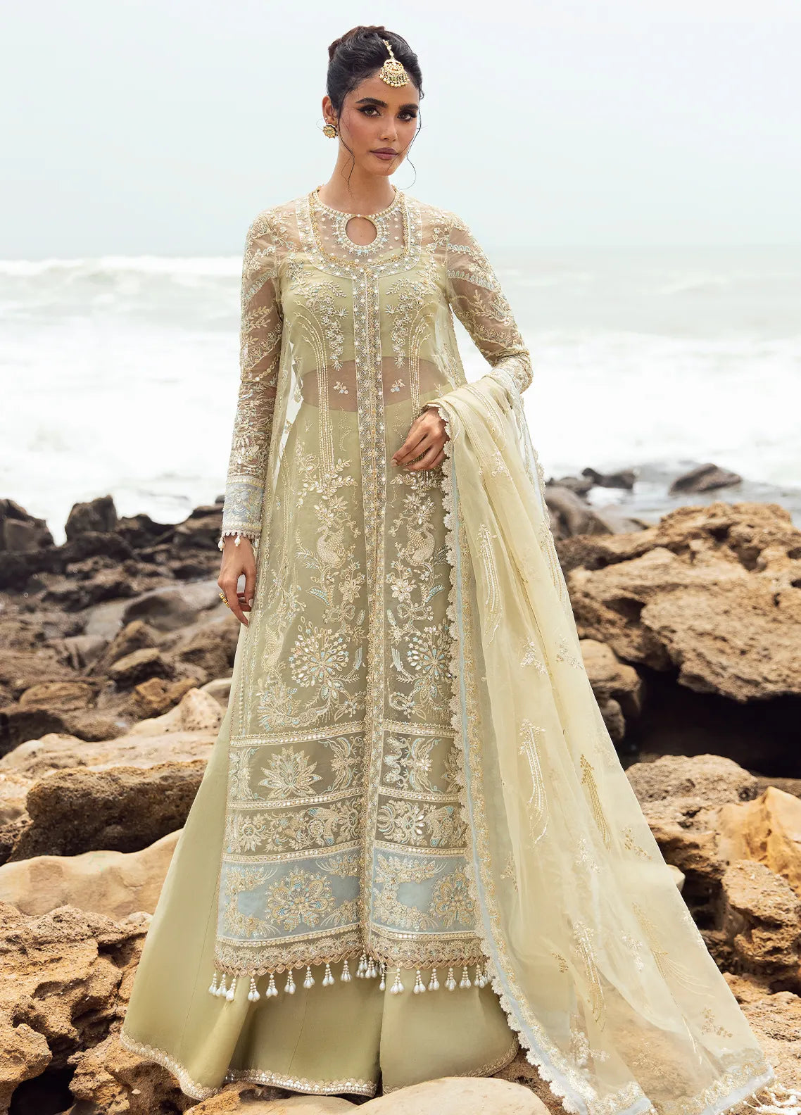 Dastangoi by Afrozeh Wedding Formals | AWE-09