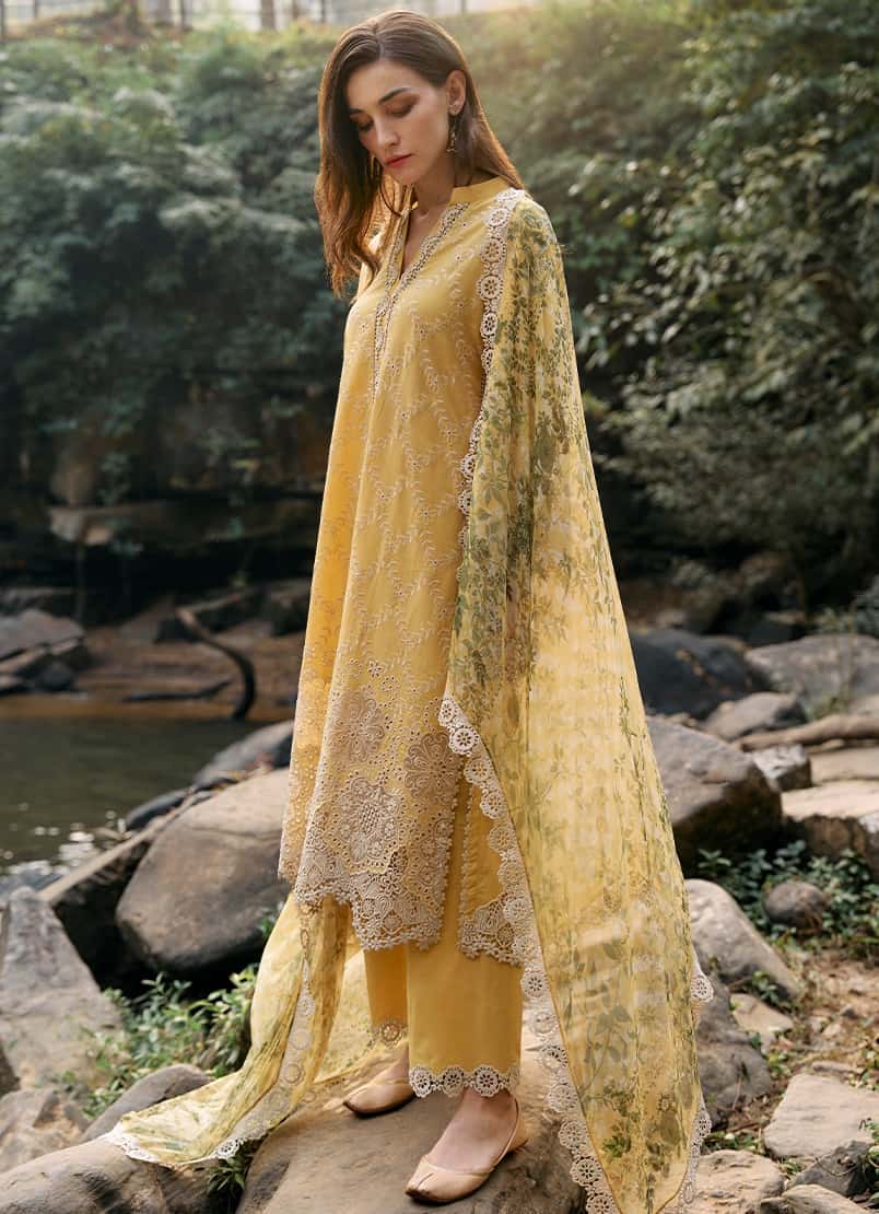 Lawnkari by Image 2024 | D-17 - Image 2