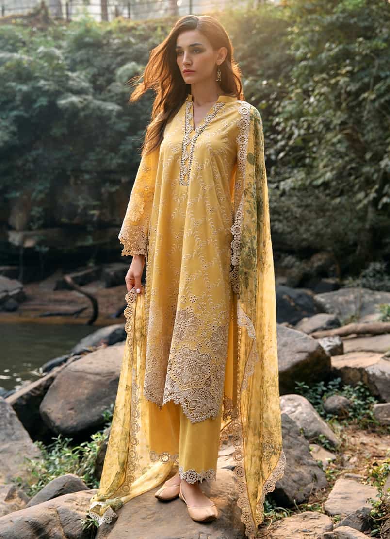 Lawnkari by Image 2024 | D-17 - Image 3