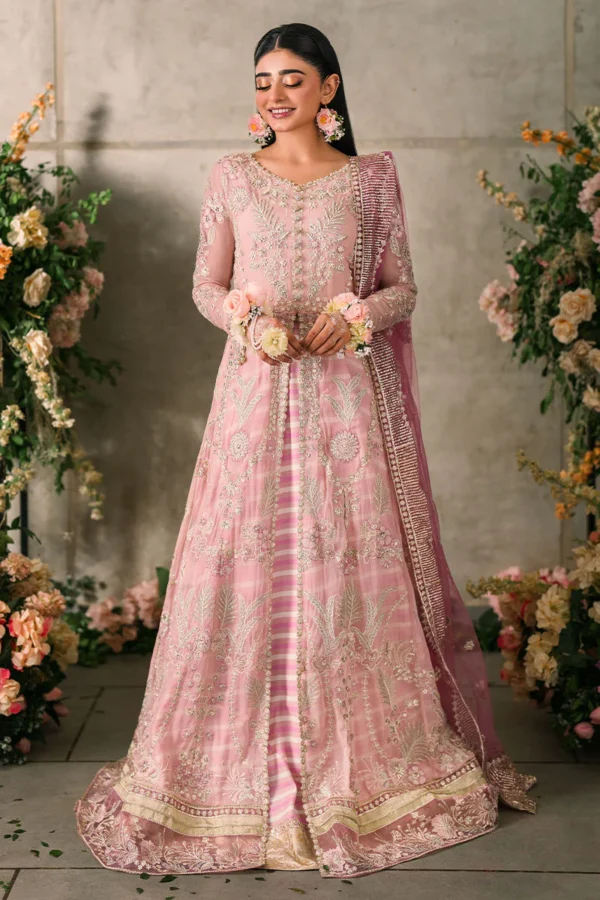 Mastani Evening Chiffon Collection by Mushq | Maisha (Copy)