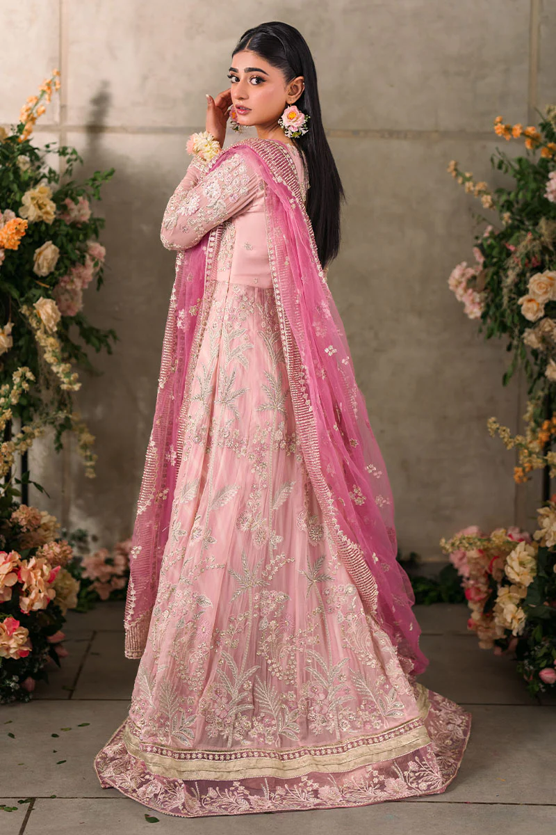 Mastani Evening Chiffon Collection by Mushq | Maisha - Image 2
