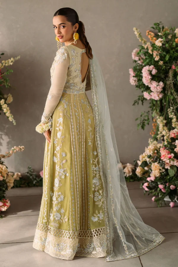 Alternative view of Mastani Evening Chiffon Collection by Mushq | Hira