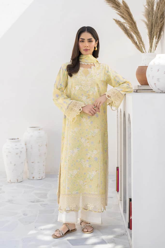 Shezlin Chikankari Ramadan Edit '24 by Aabyaan | SOHA (AR-03)
