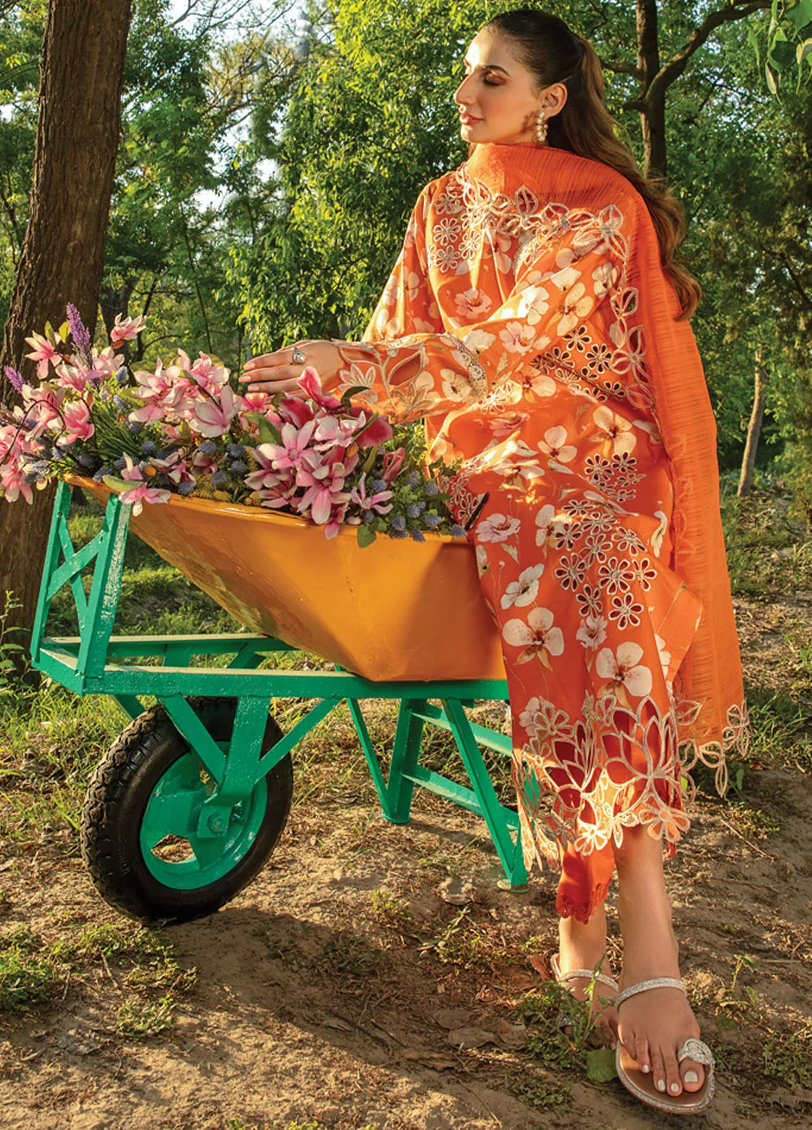 Carnation By Rang Rasiya | D-06 - Image 3