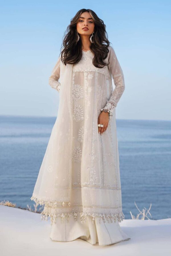Sana Safinaz Muzlin Unstitched Lawn | Vol 1 2024 | 14A (GZ- 496)